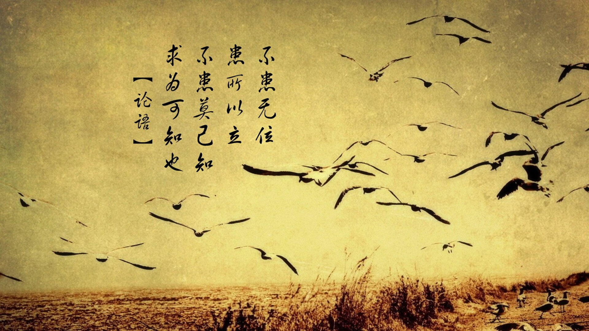 IM体官网-地方青训中心是否存在资源浪费现象，青训营全称